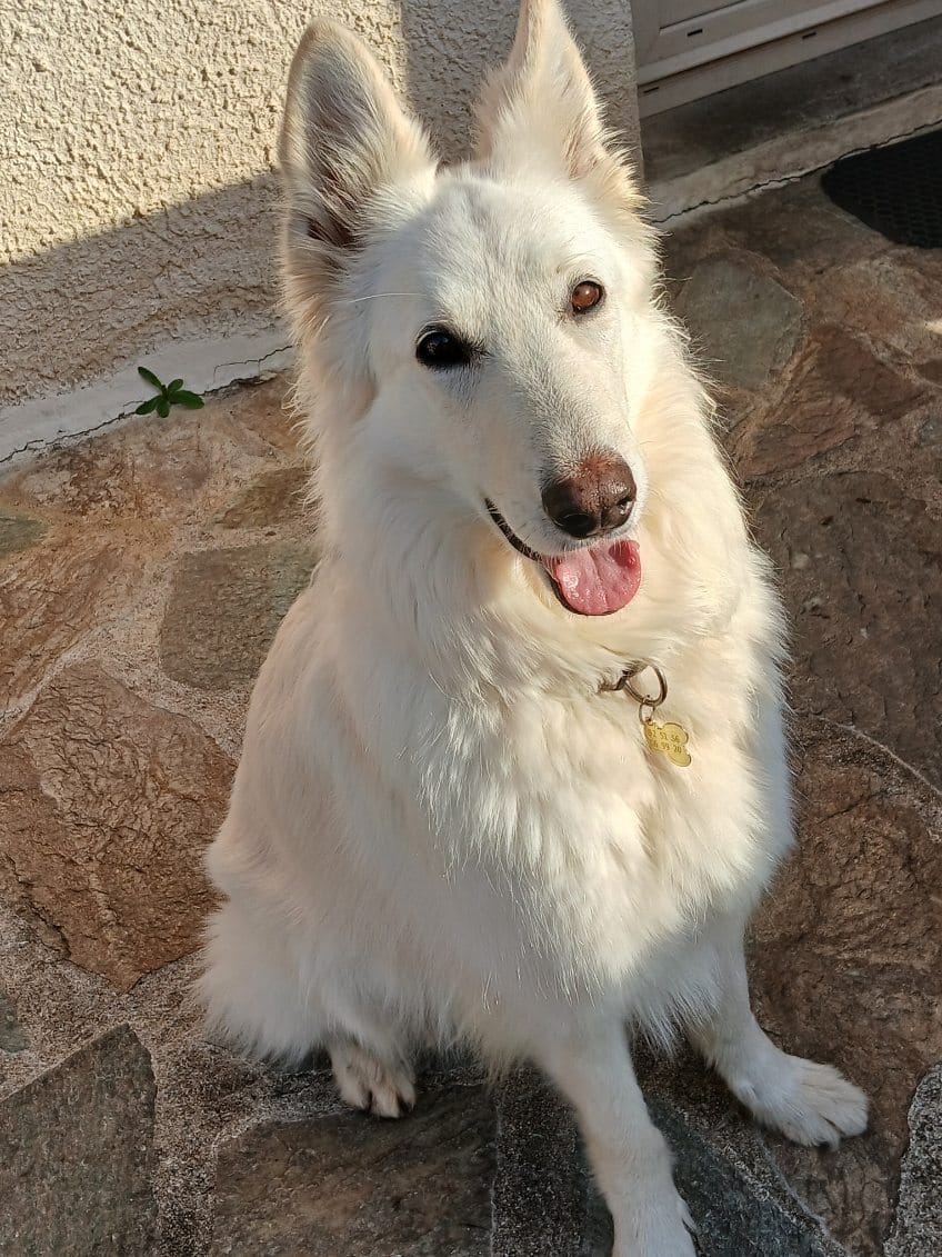 WhatsApp Image 202czfc6-02-20 at 09.43.34.jpeg